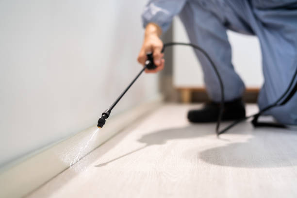 Bed Bug Pre-Treatment Preparation Assessment in McAdenville