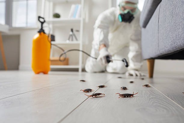 Post-Treatment Bed Bug Interceptor Monitoring in McAdenville